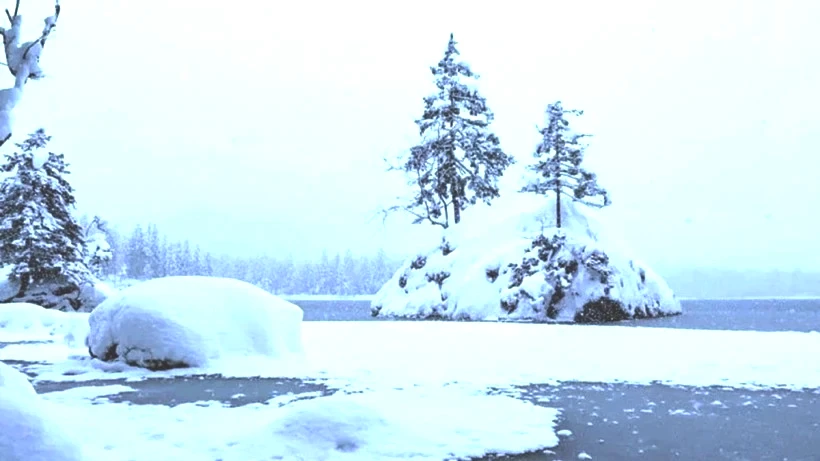 Çözmesi beyin isteyen IQ testi! Resimdeki kutup ayısını bulanlar çok zekiymiş - Resim : 1